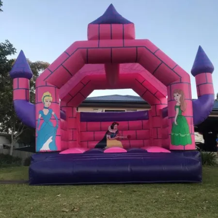 Sunshine Coast Princess Jumping Castle.jpg